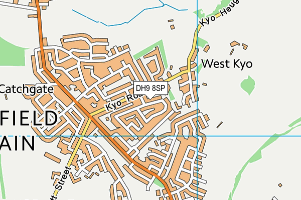 DH9 8SP map - OS VectorMap District (Ordnance Survey)