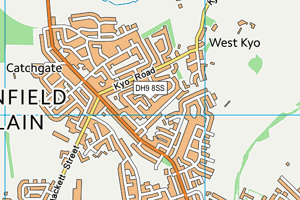 DH9 8SS map - OS VectorMap District (Ordnance Survey)