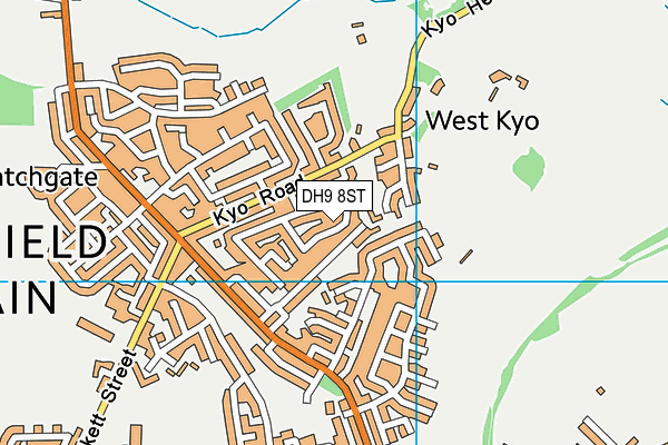 DH9 8ST map - OS VectorMap District (Ordnance Survey)