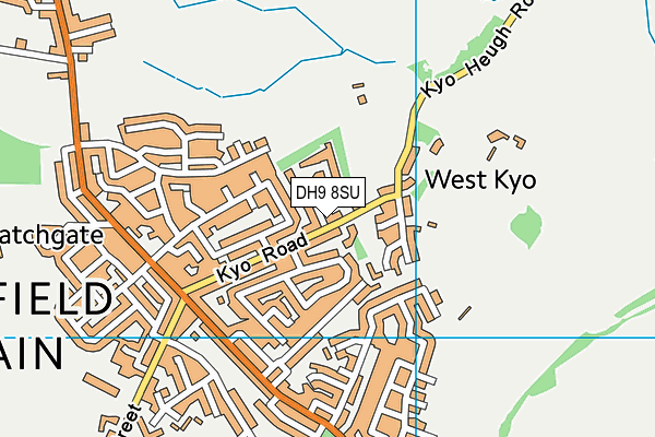 DH9 8SU map - OS VectorMap District (Ordnance Survey)