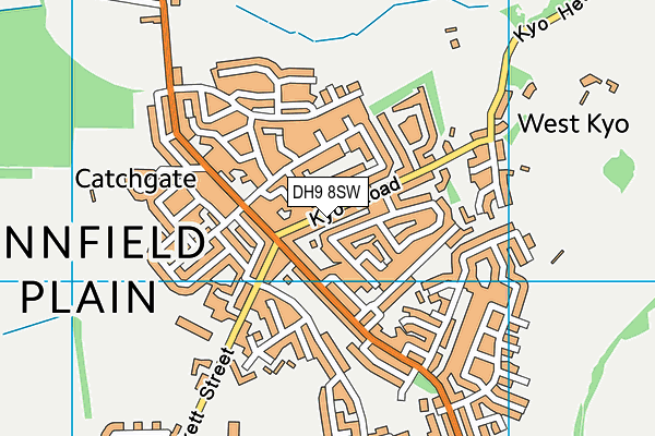 DH9 8SW map - OS VectorMap District (Ordnance Survey)