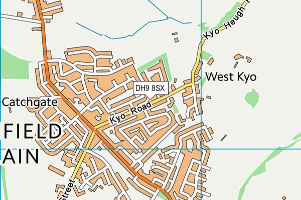 DH9 8SX map - OS VectorMap District (Ordnance Survey)