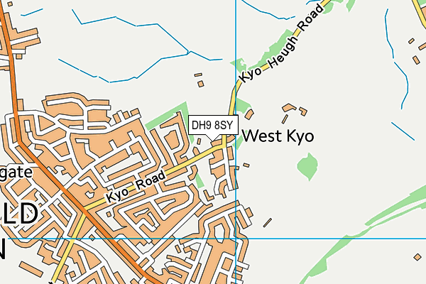 DH9 8SY map - OS VectorMap District (Ordnance Survey)