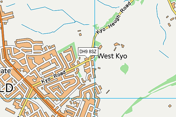 DH9 8SZ map - OS VectorMap District (Ordnance Survey)