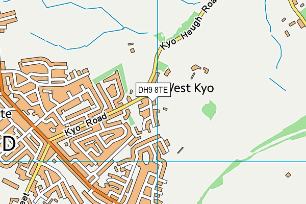 DH9 8TE map - OS VectorMap District (Ordnance Survey)