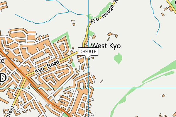 DH9 8TF map - OS VectorMap District (Ordnance Survey)
