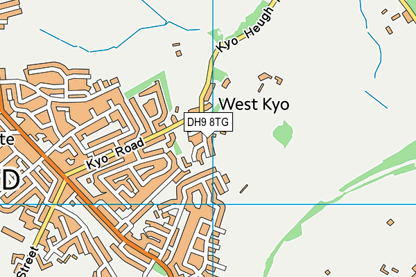 DH9 8TG map - OS VectorMap District (Ordnance Survey)