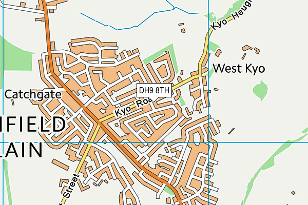 DH9 8TH map - OS VectorMap District (Ordnance Survey)
