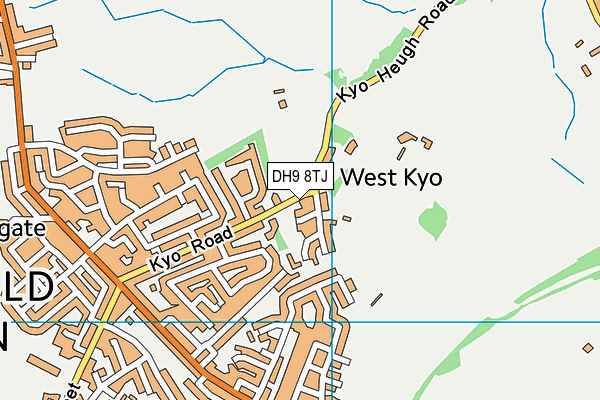 DH9 8TJ map - OS VectorMap District (Ordnance Survey)