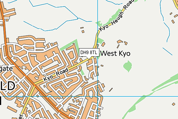 DH9 8TL map - OS VectorMap District (Ordnance Survey)