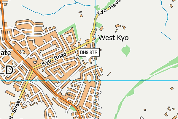 DH9 8TR map - OS VectorMap District (Ordnance Survey)