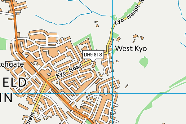 DH9 8TS map - OS VectorMap District (Ordnance Survey)