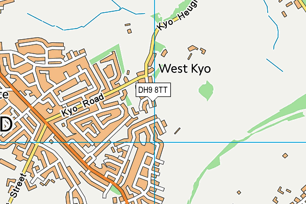 DH9 8TT map - OS VectorMap District (Ordnance Survey)