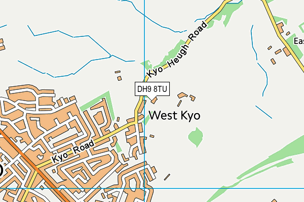 DH9 8TU map - OS VectorMap District (Ordnance Survey)