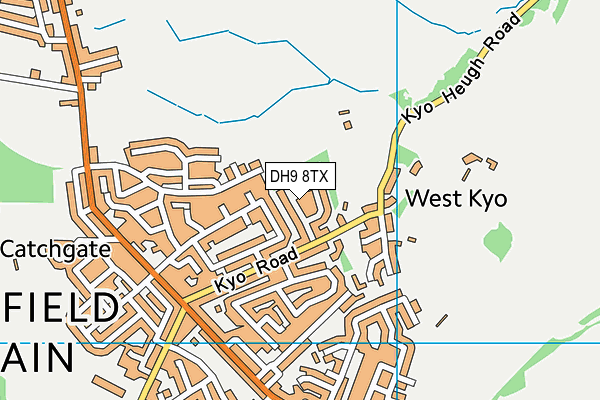 DH9 8TX map - OS VectorMap District (Ordnance Survey)