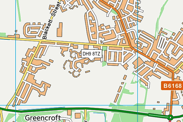 DH9 8TZ map - OS VectorMap District (Ordnance Survey)