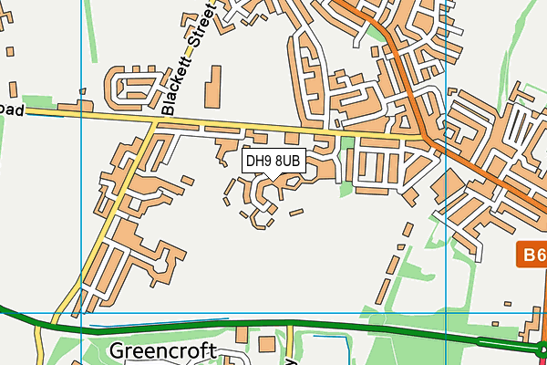 DH9 8UB map - OS VectorMap District (Ordnance Survey)