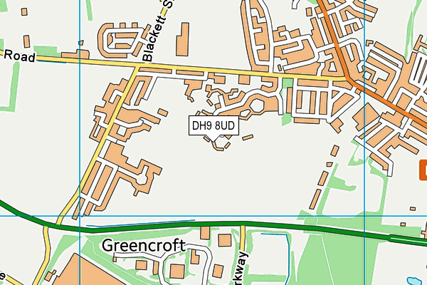 DH9 8UD map - OS VectorMap District (Ordnance Survey)