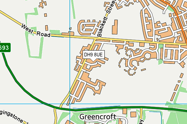 DH9 8UE map - OS VectorMap District (Ordnance Survey)
