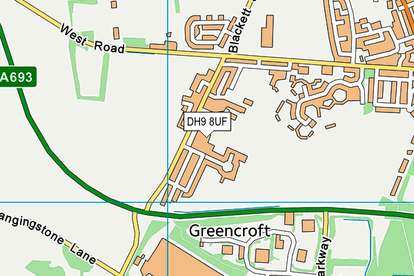 DH9 8UF map - OS VectorMap District (Ordnance Survey)