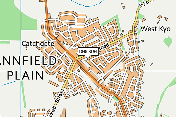 DH9 8UH map - OS VectorMap District (Ordnance Survey)