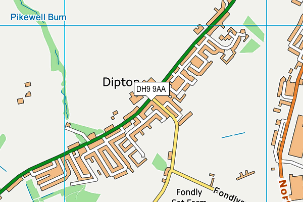 DH9 9AA map - OS VectorMap District (Ordnance Survey)