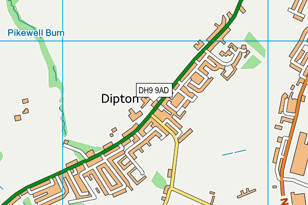 DH9 9AD map - OS VectorMap District (Ordnance Survey)