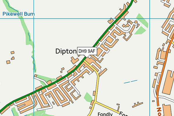 DH9 9AF map - OS VectorMap District (Ordnance Survey)