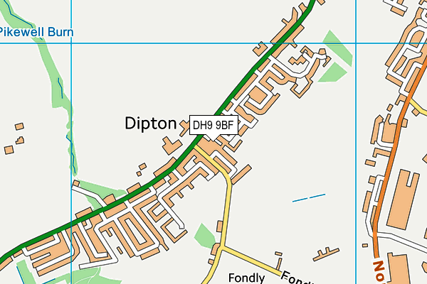 DH9 9BF map - OS VectorMap District (Ordnance Survey)