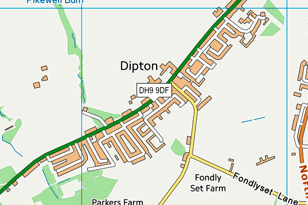 DH9 9DF map - OS VectorMap District (Ordnance Survey)
