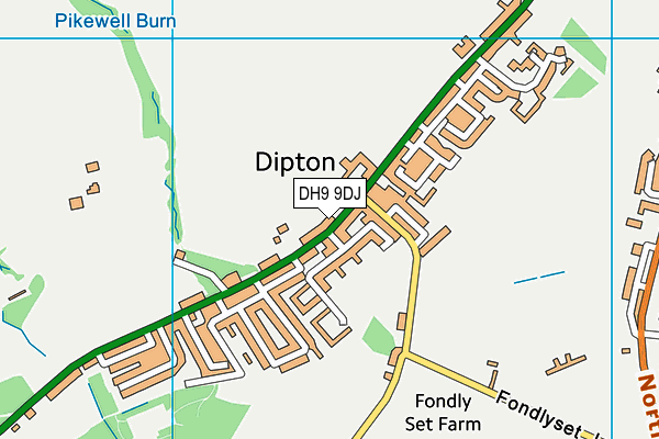 Collierley Nursery and Primary School map (DH9 9DJ) - OS VectorMap District (Ordnance Survey)