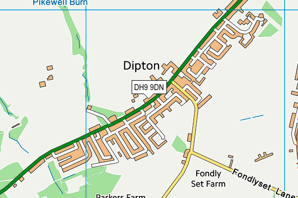 DH9 9DN map - OS VectorMap District (Ordnance Survey)