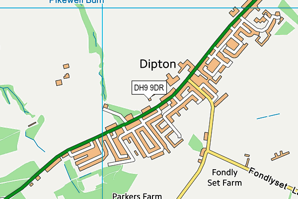 DH9 9DR map - OS VectorMap District (Ordnance Survey)