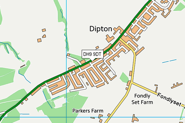 DH9 9DT map - OS VectorMap District (Ordnance Survey)