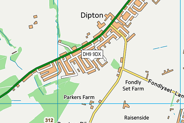 DH9 9DX map - OS VectorMap District (Ordnance Survey)