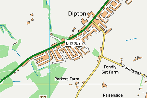 DH9 9DY map - OS VectorMap District (Ordnance Survey)