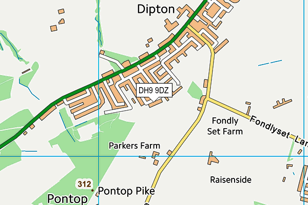DH9 9DZ map - OS VectorMap District (Ordnance Survey)
