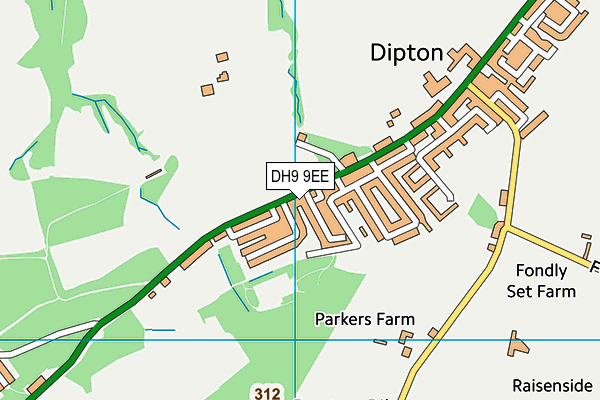 DH9 9EE map - OS VectorMap District (Ordnance Survey)