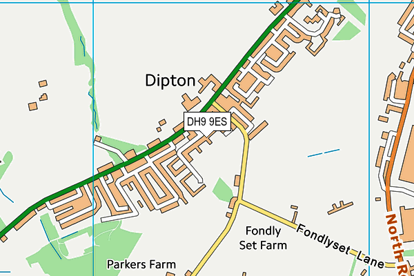 DH9 9ES map - OS VectorMap District (Ordnance Survey)