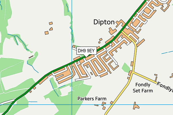 DH9 9EY map - OS VectorMap District (Ordnance Survey)