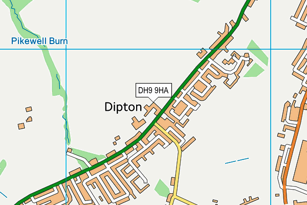 DH9 9HA map - OS VectorMap District (Ordnance Survey)