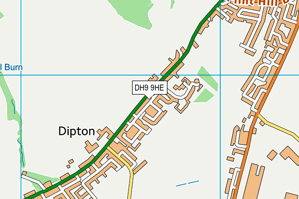 DH9 9HE map - OS VectorMap District (Ordnance Survey)