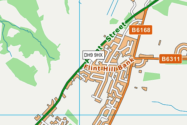 DH9 9HX map - OS VectorMap District (Ordnance Survey)