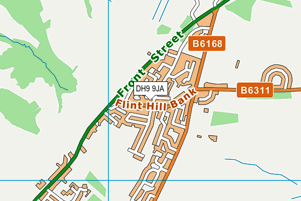 DH9 9JA map - OS VectorMap District (Ordnance Survey)