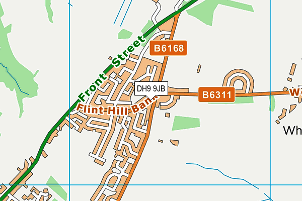 DH9 9JB map - OS VectorMap District (Ordnance Survey)