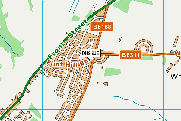 DH9 9JE map - OS VectorMap District (Ordnance Survey)