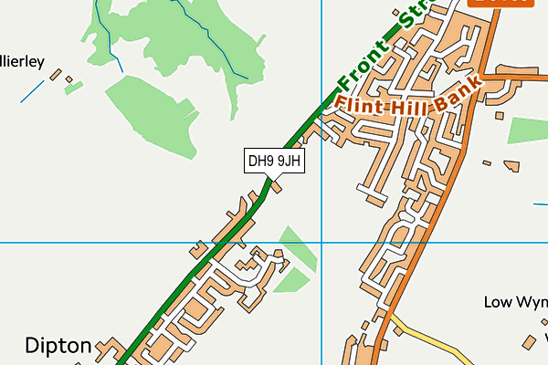 DH9 9JH map - OS VectorMap District (Ordnance Survey)