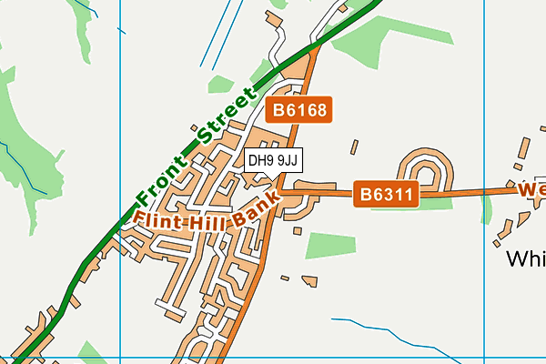 DH9 9JJ map - OS VectorMap District (Ordnance Survey)