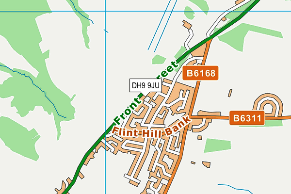 DH9 9JU map - OS VectorMap District (Ordnance Survey)