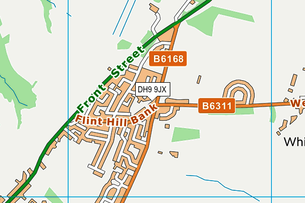 DH9 9JX map - OS VectorMap District (Ordnance Survey)